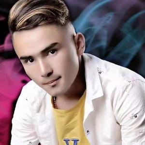 男同志与牛20XXX
