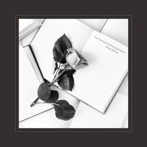 男同志与牛20XXX
